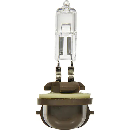 886 Basic Fog Light Bulb - 31575