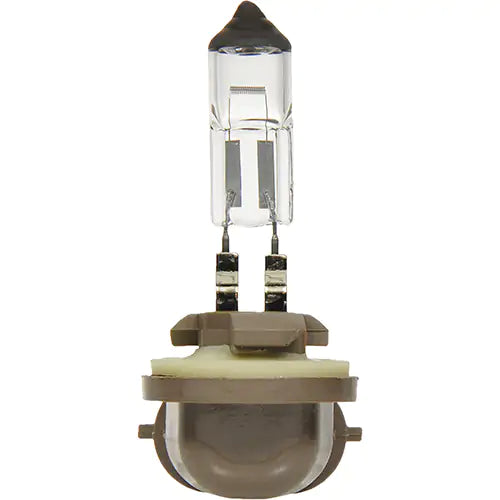 896 Basic Fog Light Bulb - 31581