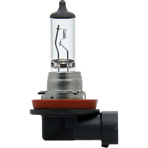 H11 Basic Headlight Bulb - 31565