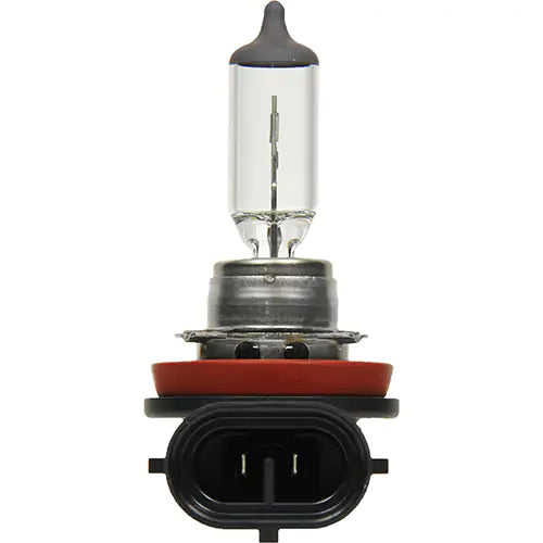 H8 Basic Headlight Bulb - 31594