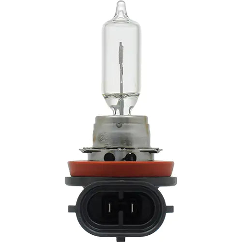 H89 Basic Headlight Bulb - 31569