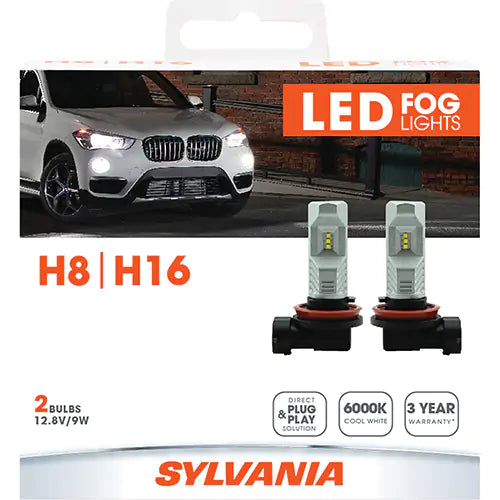 H8 Headlight Bulb - 37688