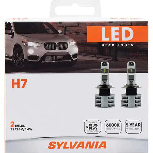 H7 Headlight Bulb - 37690