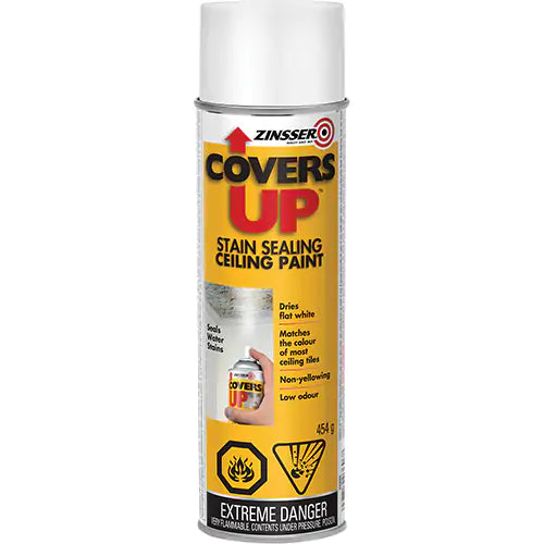Covers Up Stain Sealing Ceiling Paint 454 g - Z03696