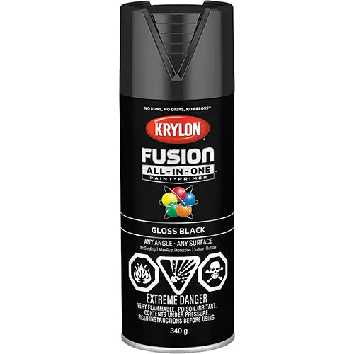 Fusion All-In-One™ Paint 16 oz. - 427020007