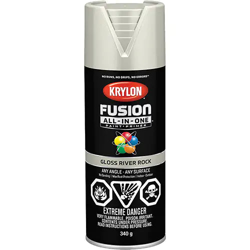 Fusion All-In-One™ Paint 16 oz. - 427210007
