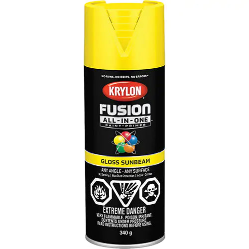 Fusion All-In-One™ Paint 16 oz. - 427250007