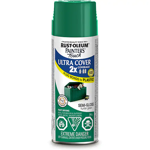 Painter's Touch® Ultra Cover Paint 340 g - 262395