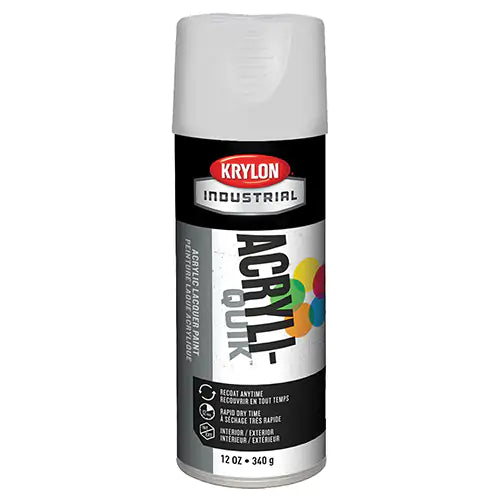 Acryli-Quik™ Maintenance Spray Paint 16 oz. - K01501A07