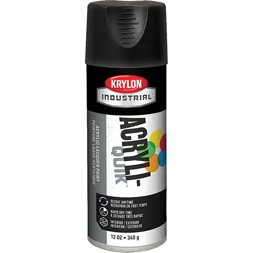 Spray Paint 16 oz. - K01602A07