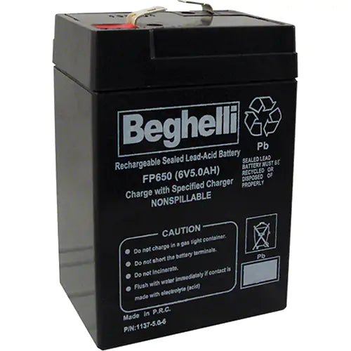 Sealed Lead Acid Batteries - BA-6.5.0BB