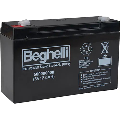 Sealed Lead Acid Batteries - BA-6-12.0BB