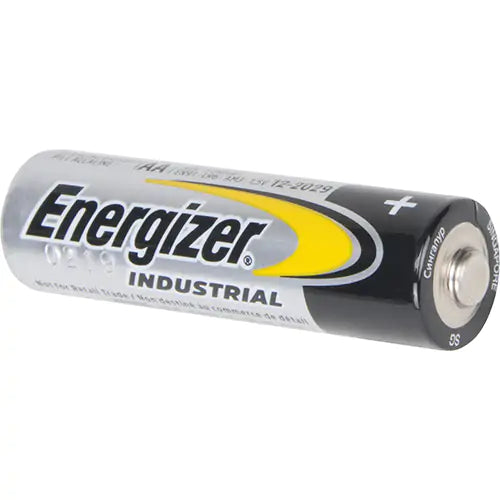 Alkaline Industrial Batteries - EN91