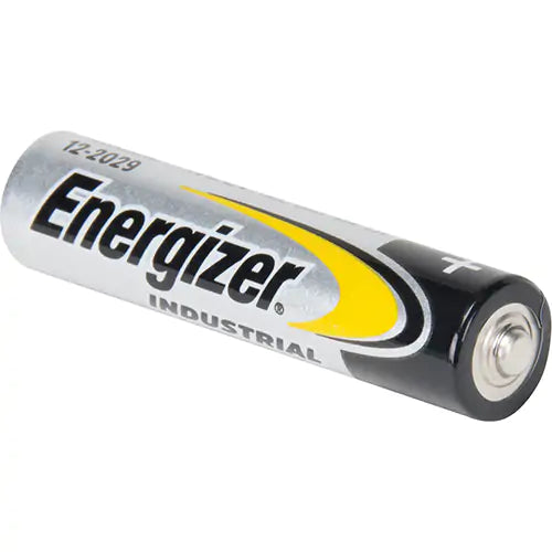 Alkaline Industrial Batteries - EN92