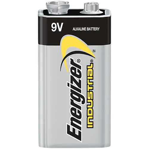 Alkaline Industrial Batteries - EN22