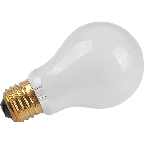 Economy Line Incandescent Lamps - XC565