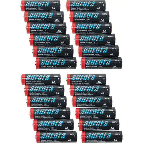 Alkaline Batteries - XI879