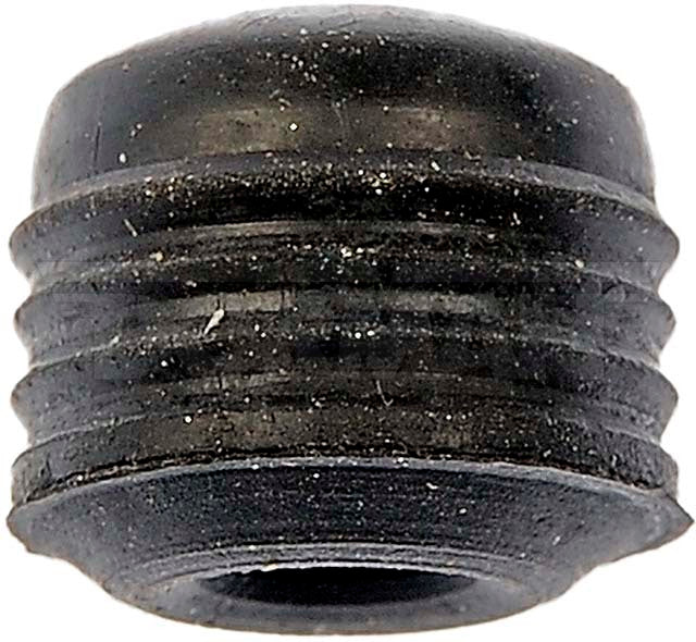 Dorman (415) 13962 Brake Bleeder Screw Cap, 2 pieces