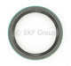 SKF 19784 Seal