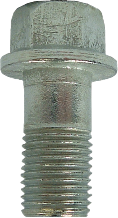 FMSI (450) 21079K INLET BOLT WITH TWO GASKETS