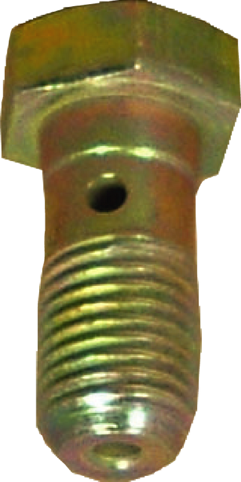 FMSI (450) 21081K INLET BOLT WITH TWO GASKETS