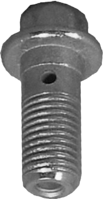 FMSI 21082K INLET BOLT WITH TWO GASKETS