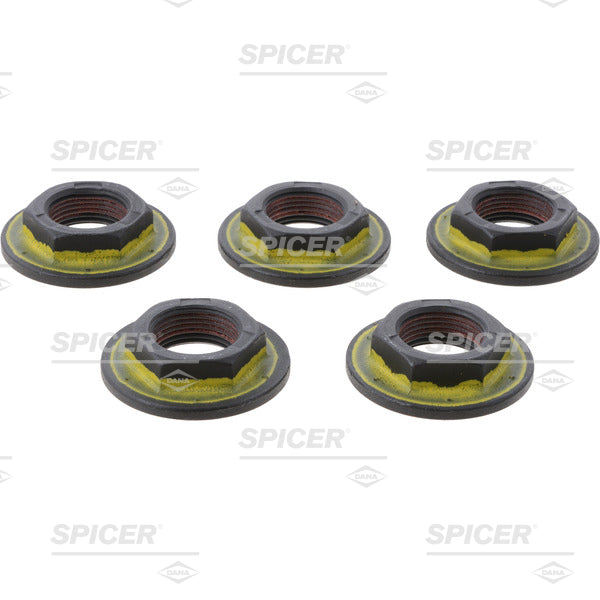 Dana 250-74-11 Spicer Drive Shaft Nut