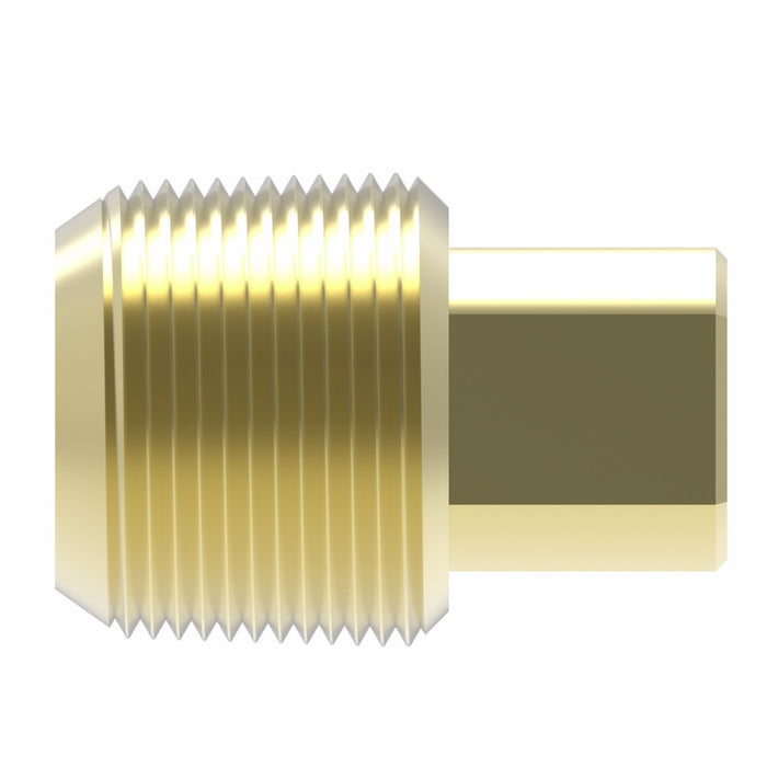 WHD 3151X2 BRASS PIPE SQ. HEAD PLUG 1/8 MALE NPT