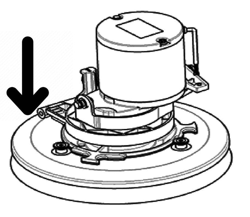 Dustbane 3SPPV02438 11IN PPL MEDIUM BRUSH,