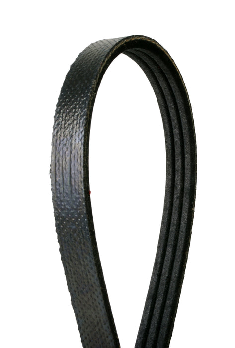 Continental 4030250S POLY-V STRETCH BELT