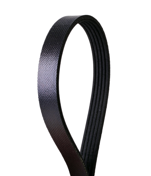 Continental 4050485 Multi-V Belt, 48.50" Effective Length, 0.69" Top Width, 5 Ribs