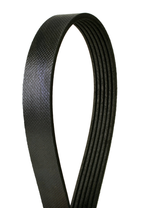 Continental 4060472F Automotive Multi-V Belt