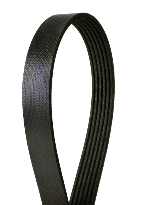 Continental 4060760 Multi-V Belt, 76.00" Effective Length, 0.83" Top Width, 6 Ribs