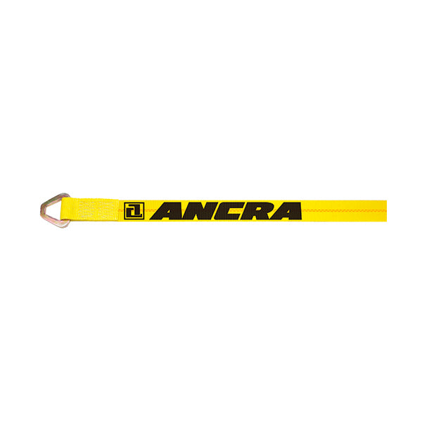 Ancra (880) 41659-11-30 2"x30' Strap w/40978-11 Delta Ring