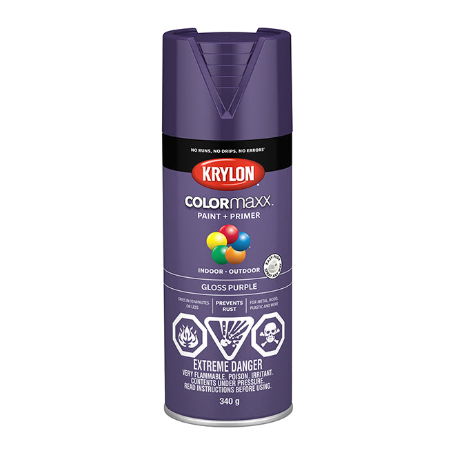 Sherwin Williams (435) 45533 Krylon COLORmaxx Paint + Primer, Gloss, Purple, 450 g