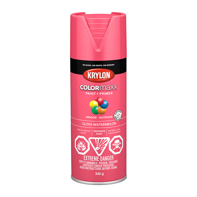 Sherwin Williams (435) 45544 Krylon COLORmaxx Paint + Primer, Gloss, Watermelon, 450 g