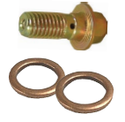 FMSI (450) 5155K INLET BOLT WITH TWO GASKETS