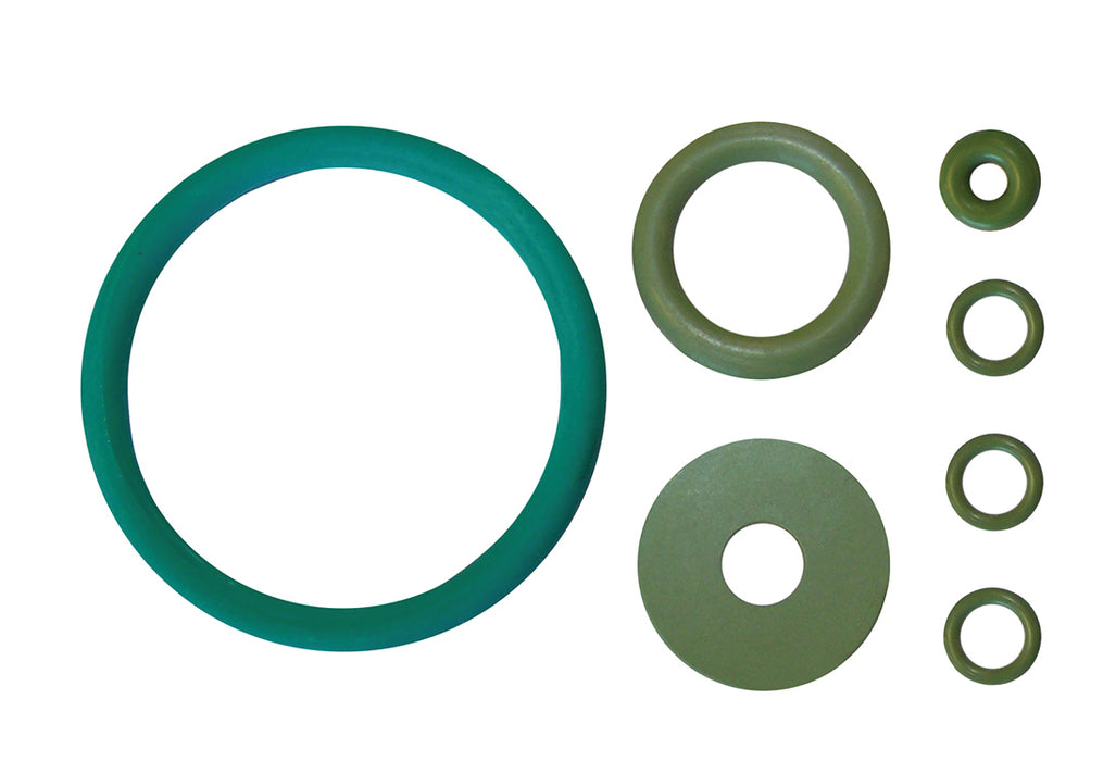 Walter (365) 53L100 REPLACEMENT GASKET SET