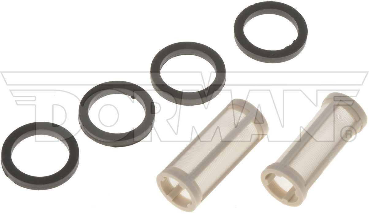 Dorman (415) 55243 Fuel Filter, 2 pieces