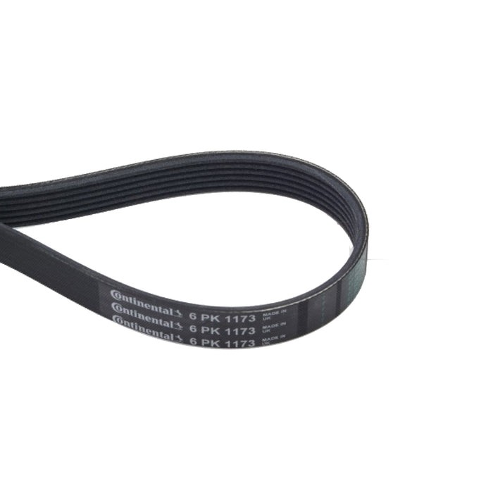 Continental 6PK1173 V-Ribbed Belt