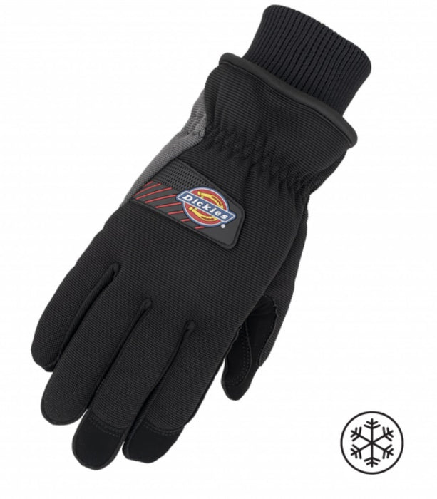 Groupe BBH 789266DIXL DICKIES SYNTH LTHR,WTR TRT,SPND BACK, C70THIN, CLR AS.S XL