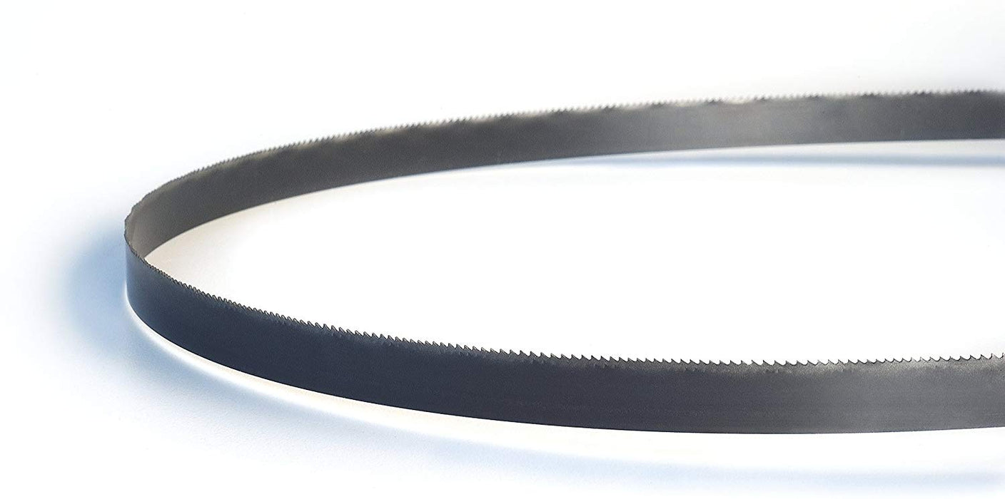 Lenox (135) 8009838PW10145 8009838PW10145 - PORTA-BAND PW44-7/8X1/2X020X10/14CW 5PK