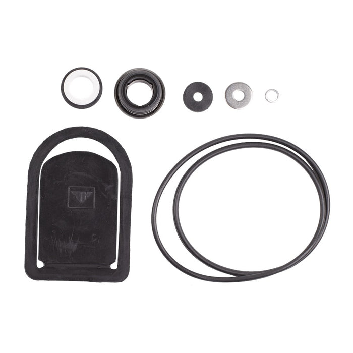 BE Pressure (374) 85.571.162 SEAL SET F/ 2IN CHEM PUMP