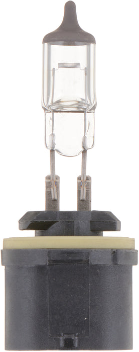 Philips Lumileds (335) 880B1 Philips Standard fog light 880, Blister Pack, Single