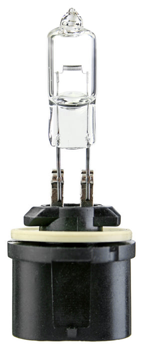 CEC Industries 885 T-3 1/4 12V 50W PG-13 HALOGEN.
