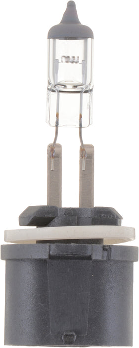 Philips Lumileds (335) 893B1 Philips Standard fog light 893, Blister Pack, Single