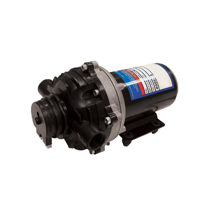 Braber Equipment (373) 90.240.300 EVERFLO 12 VOLT DEMAND PUMP, DEM 12V EF 3.0 GPM