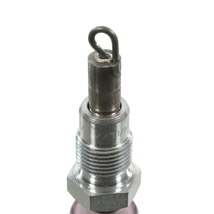 Champion 161 Champion Glow Plugs- Boxed - CH61