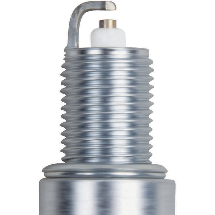 Champion (290) 7031 Champion Double Platinum - Boxed - RN14PMP5