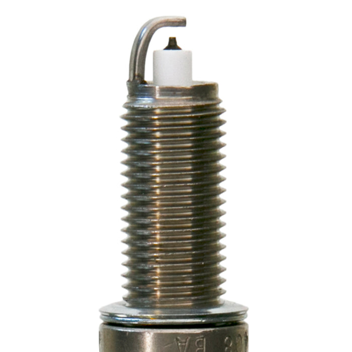Champion (290) 7445 Champion Double Platinum Power 7445 Spark Plug